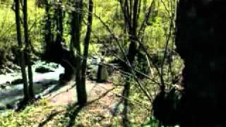 UZ-KINOLAR 2013