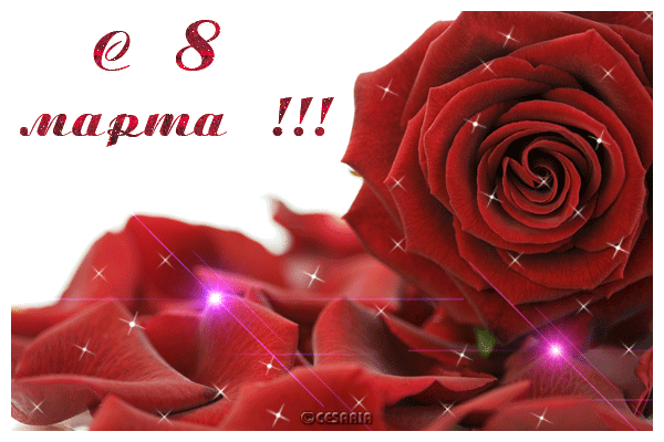 8-Mart Bilan Barcha Xotin Qizlarni Tabriklaymiz