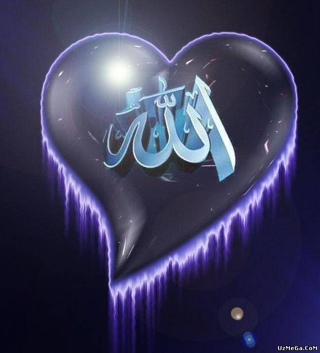 QOBIL QORI 